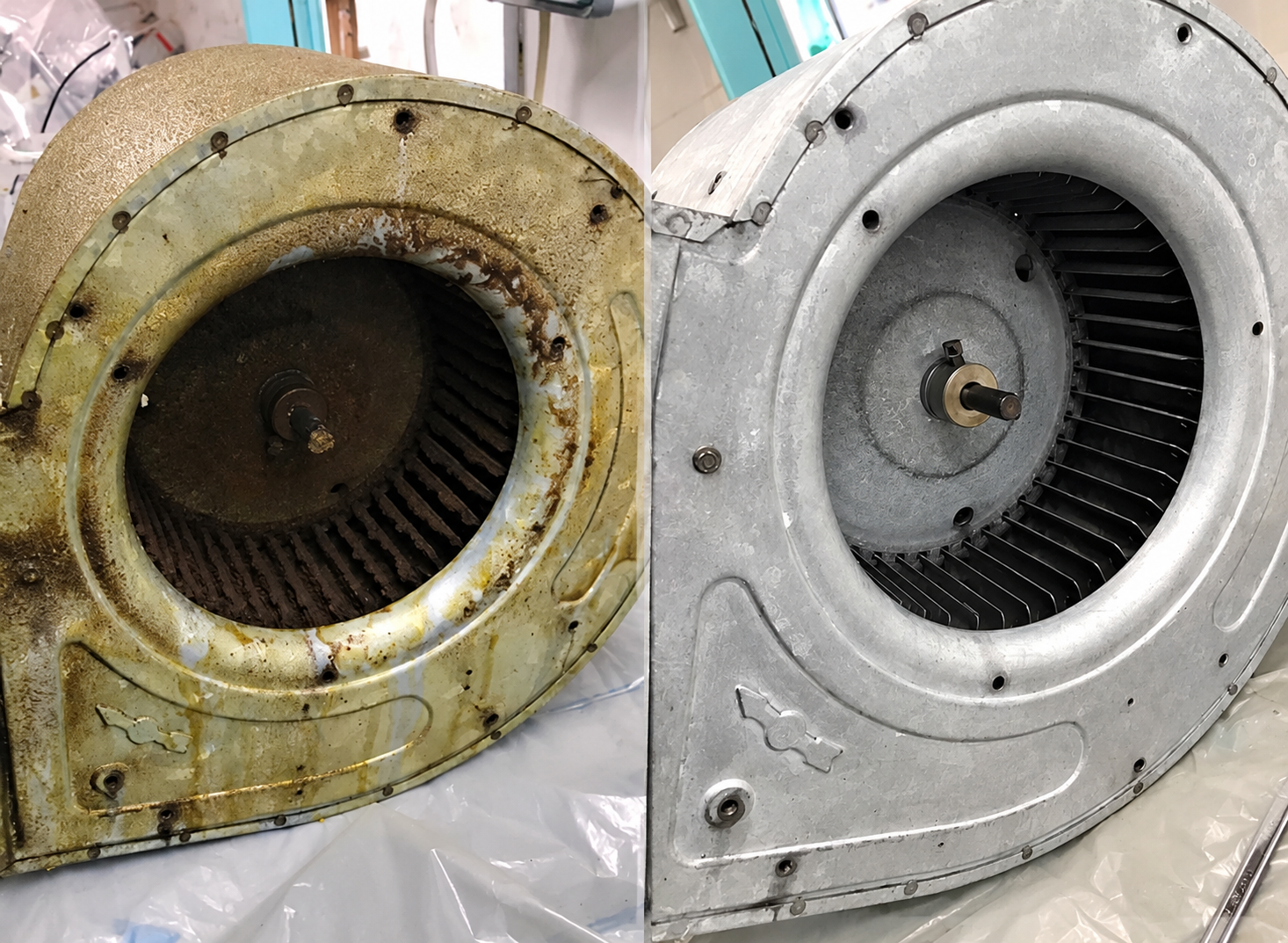 Nettoyage d'une turbine d'extraction professionnelle